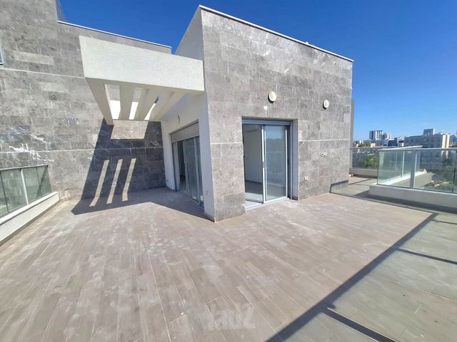 דב גור 