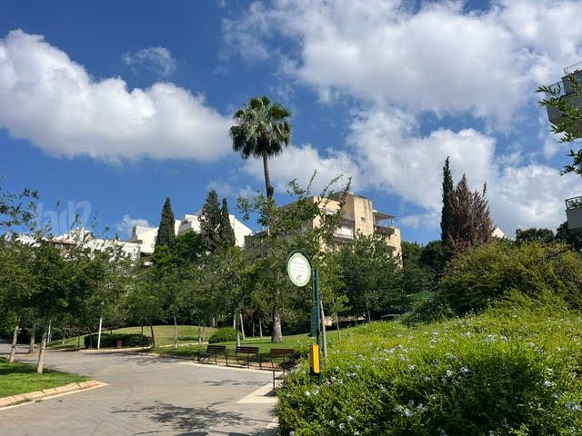 מרכז