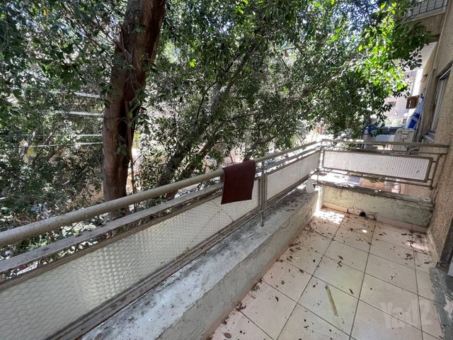 שפינוזה 