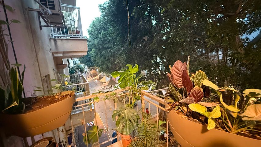 שדרות וושינגטון 