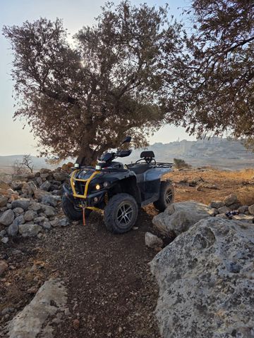 מודעת רכב ACCESS
