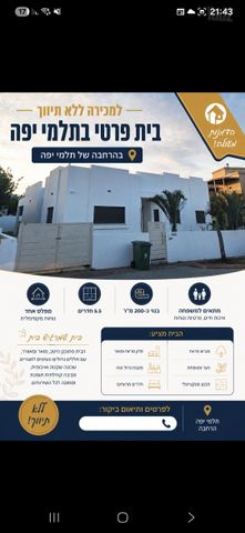 הדקל 1