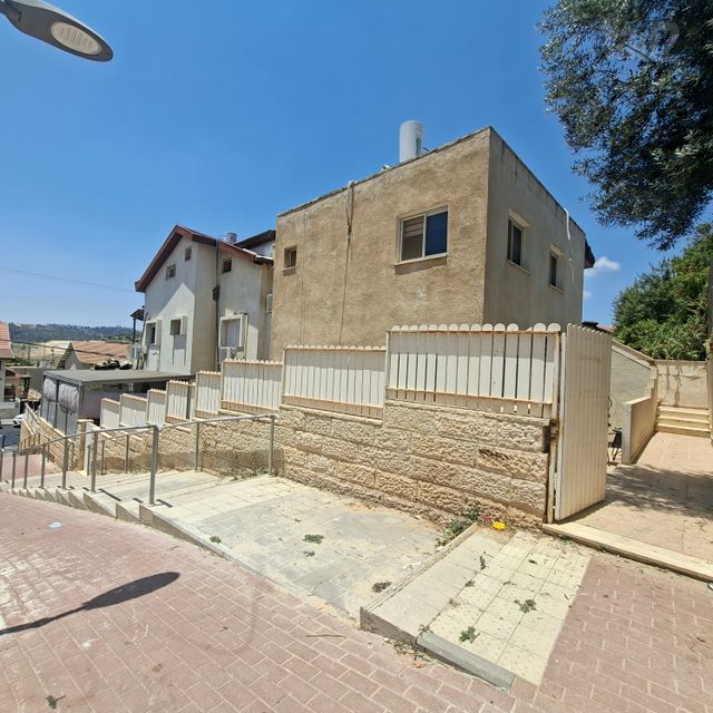 הארזים 10
