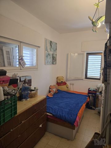 אשרמן 41