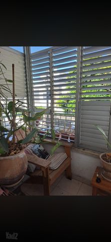 דירה להשכרה בתל אביב יפו — 3