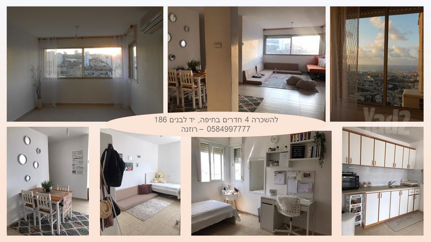 דרך יד לבנים 186