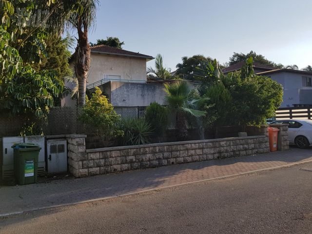 שושנים 24