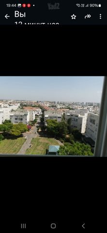 יואב בן צרויה 11