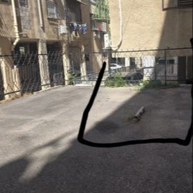 יחזקאל דנין 10