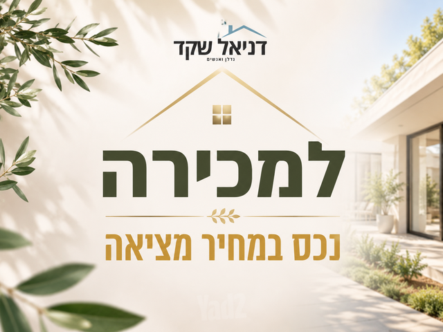 יגאל אלון 5