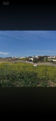 מגרשים