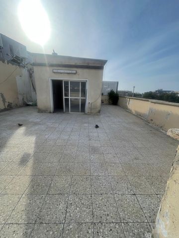 סוקרטס 14