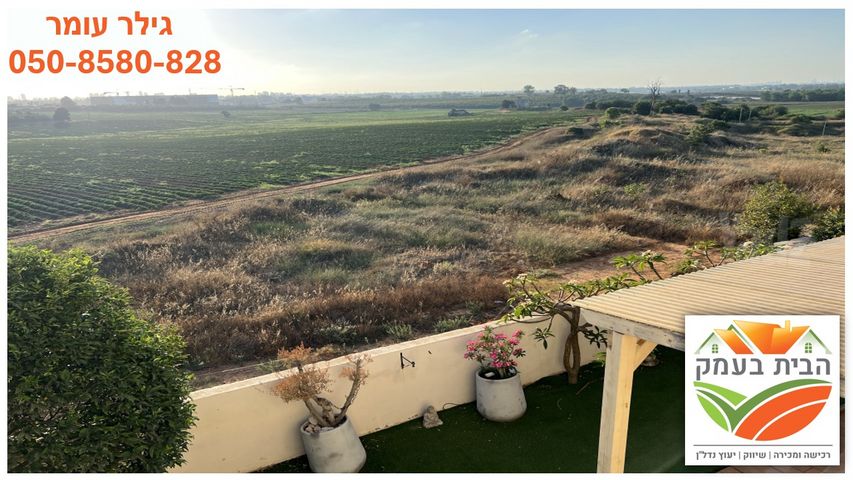 גולני 