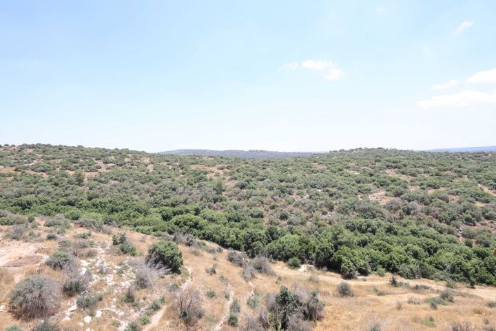דופלקס למכירה בבית שמש (תיווך) — 5