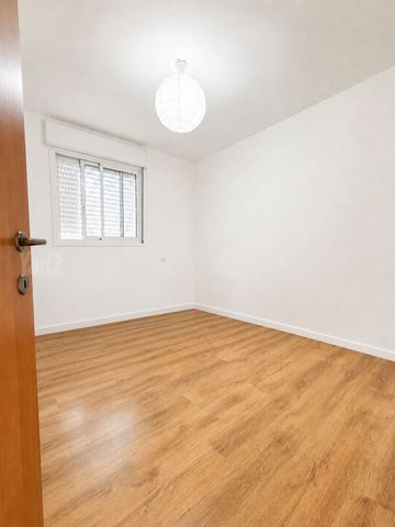 יגאל אלון