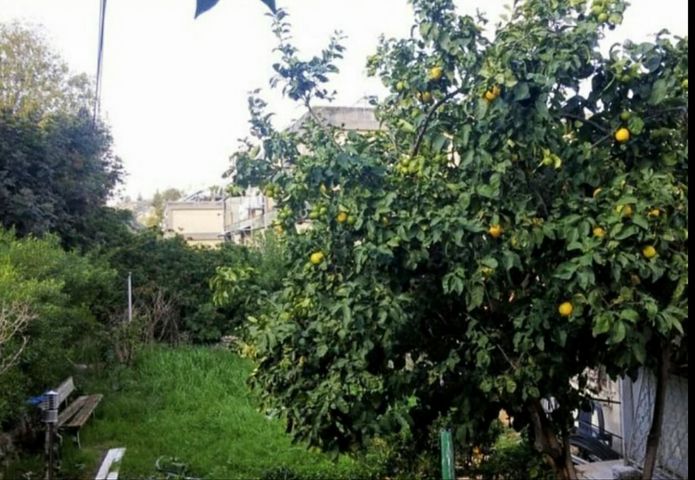 דירת גן, רמות יצחק, נשר