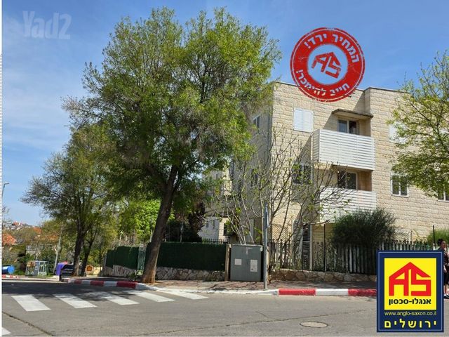 המעיין 