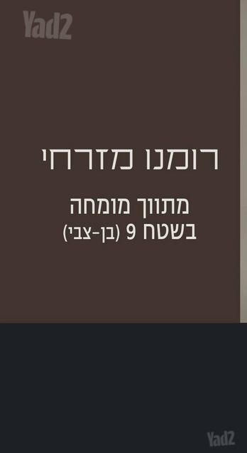 שמעון בן צבי