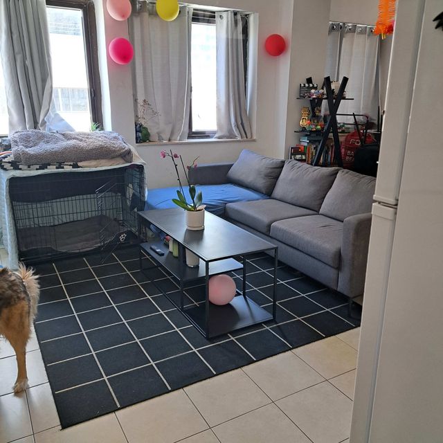 נחלת בנימין 60