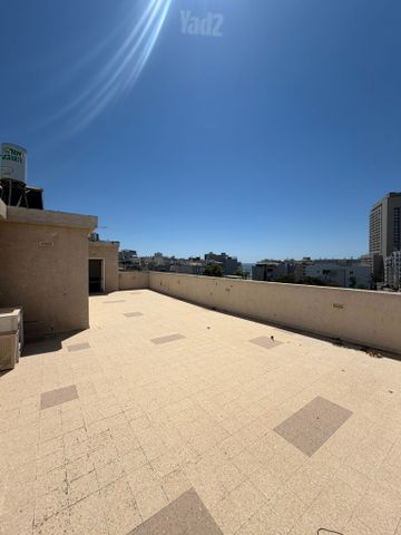 כינור דוד 