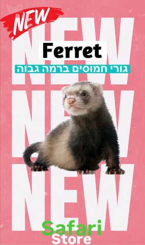 תמונת מודעה - חיות מחמד