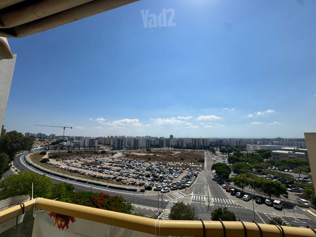 דב ברייר 2