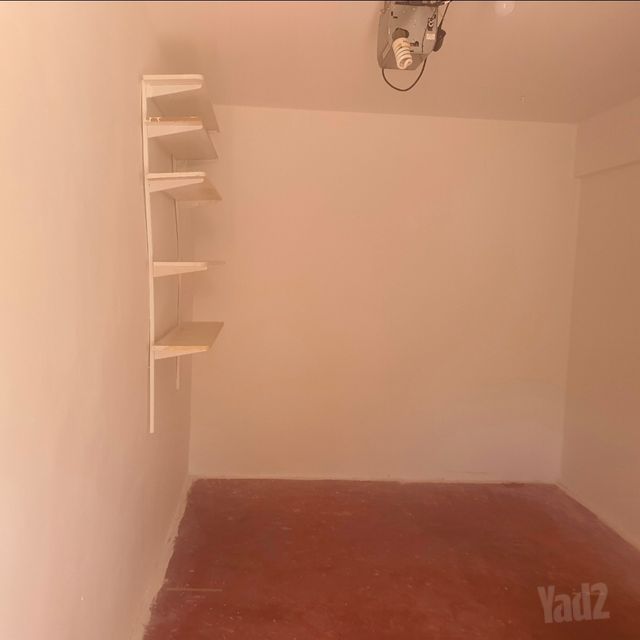 חרצית 15