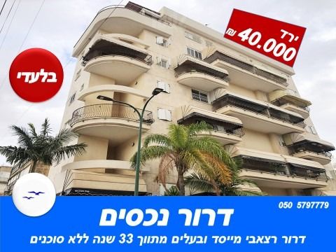 דוד וולפסון 39