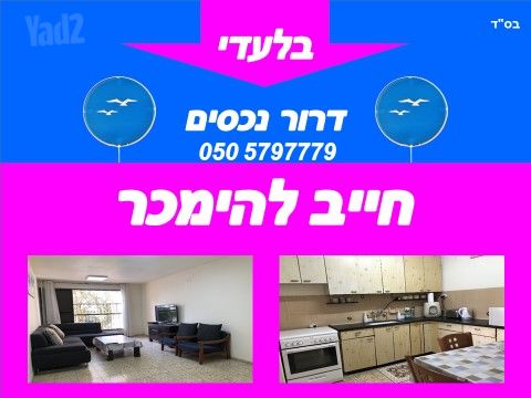דוד פרנקפורטר 30