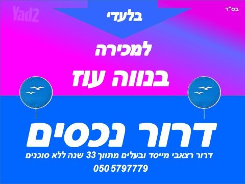 דוד אבידן 6