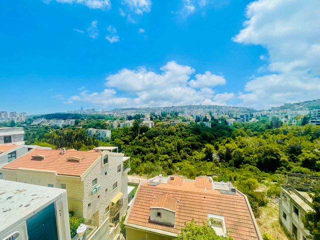 נורית 20