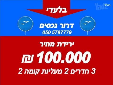 צה"ל 60
