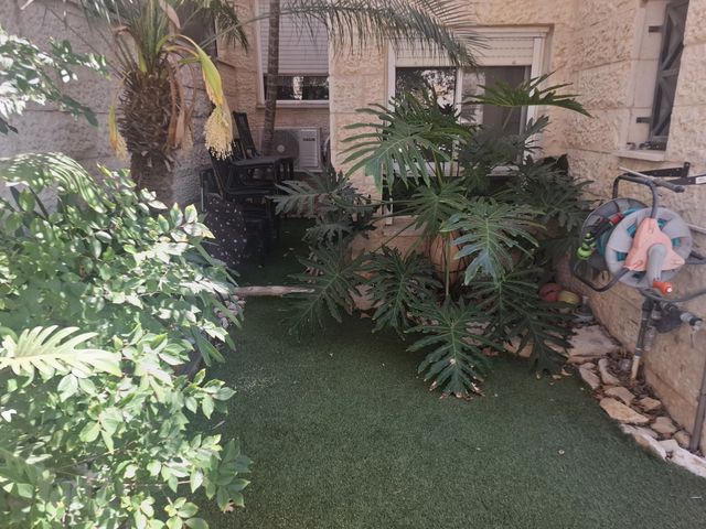 דירת גן