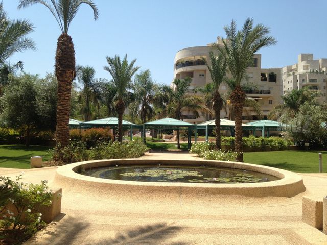 דירה להשכרה בתל אביב יפו (תיווך) — 2