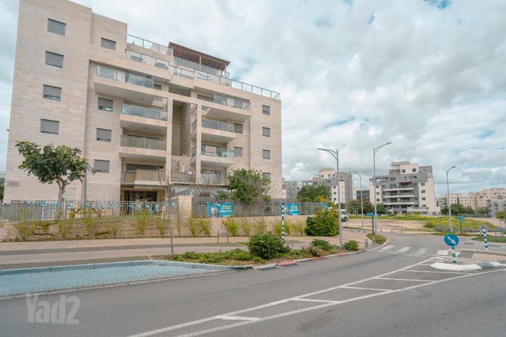 תמר 8