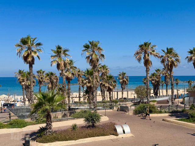 דירת גן, לב תל אביב, לב העיר צפון, תל אביב יפו