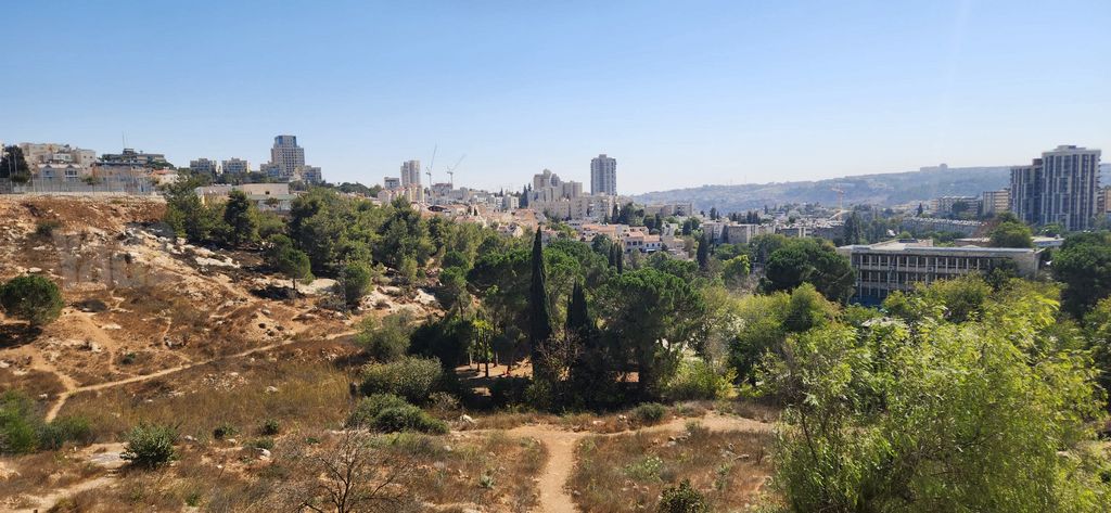 הרב חיים חביב 