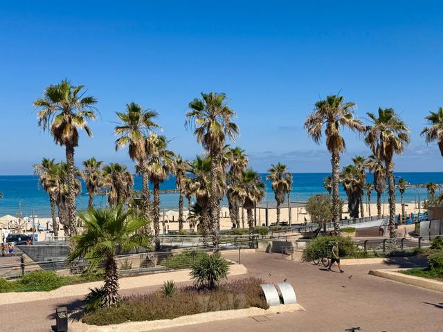 הירקון 