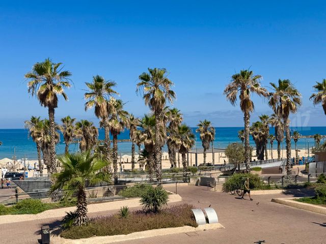 הירקון 