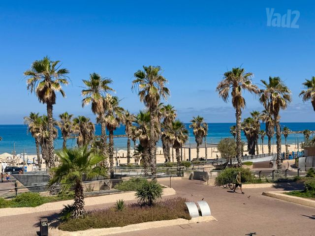 דירת גן, לב תל אביב, לב העיר צפון, תל אביב יפו
