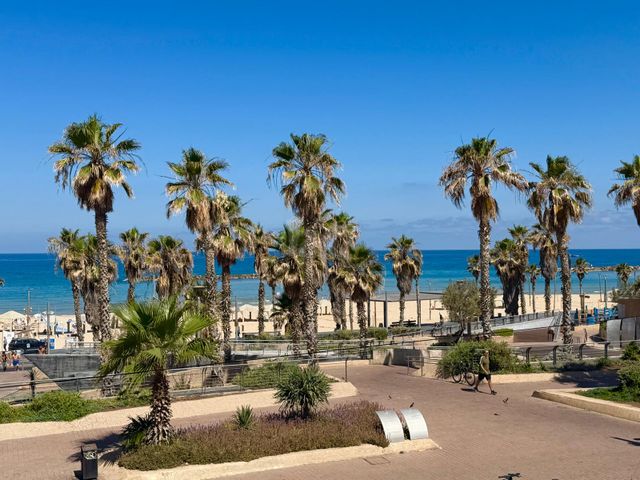 הירקון 