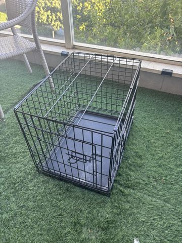 תמונת מודעה - חיות מחמד