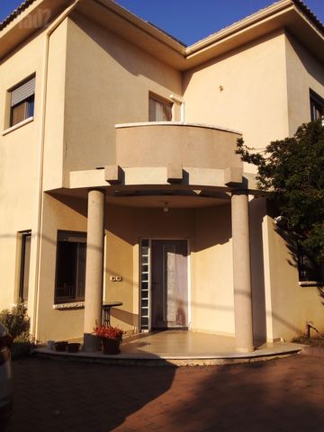 הזית 30