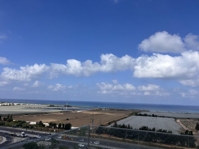 אלמוג 12