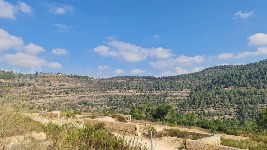 מגרשים למכירה באבן ספיר — 5