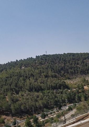 אברהם כחילה 24