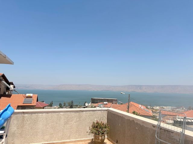 טולידאנו 24
