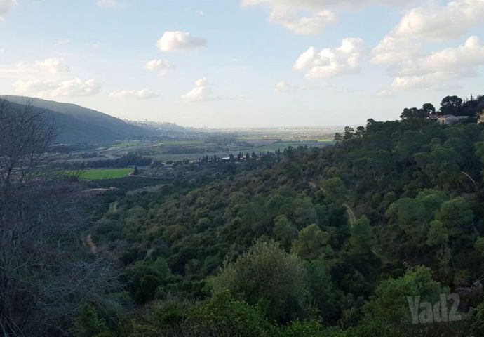 יגאל אלון 35