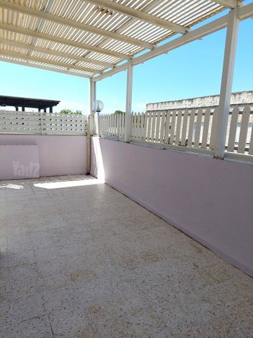 משה שרת 1
