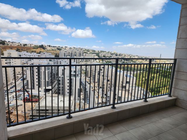 פרופסור יעקב נאמן 1